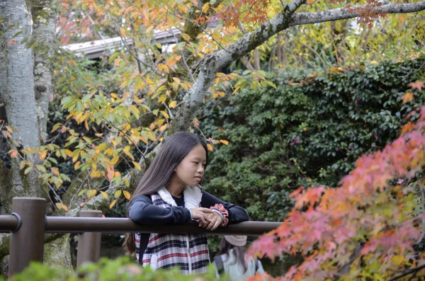 Kleurrijke herfstbladeren op Philosopher Path at in Kyoto, Japan. — Stockfoto