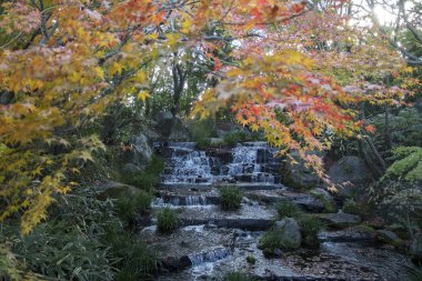 Waterfall and red autumn leave in Koko-en garden in Himeji