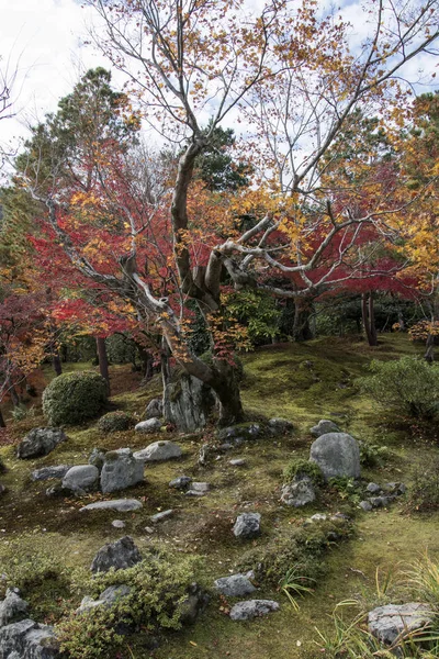 Hermoso jardín zen en el templo Tenryuji en Arashiyama, Kyoto, Ja — Foto de Stock