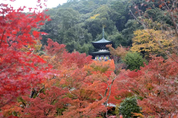 Colorful fall color leaves in Eikando Zenrinji gardens in Kyoto, — Stock Photo, Image