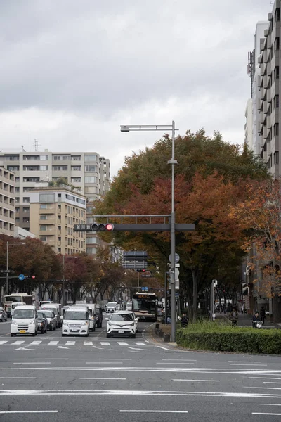 Auto rijden op straat in de voorkant van Nijo kasteel in Kyoto, Ja — Stockfoto