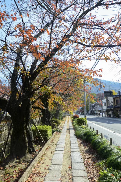 京都に秋の休暇を持つ哲学者の道 — ストック写真