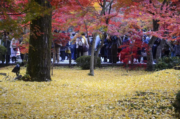 La gente visita los jardines de Eikando Zenrinji en Kyoto, Japón —  Fotos de Stock
