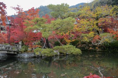 Kyoto 'daki Eikando Zenrinji bahçelerinde renkli sonbahar yaprakları,
