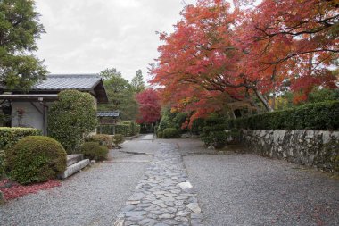Arashiyama, Kyoto, Ja 'daki Tenryuji tapınağında güzel bir zen bahçesi.