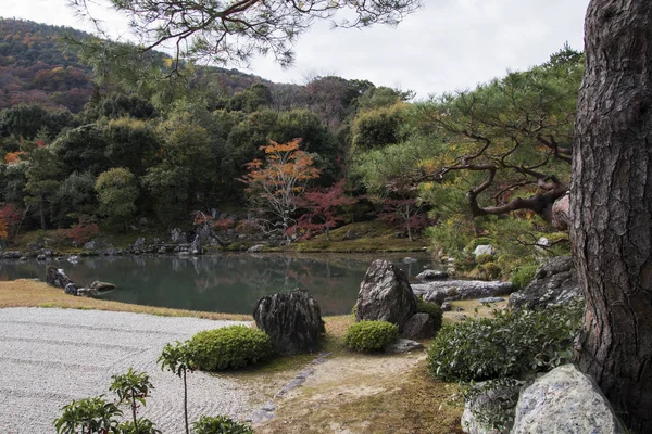 Hermoso jardín zen en el templo Tenryuji en Arashiyama, Kyoto, Ja —  Fotos de Stock