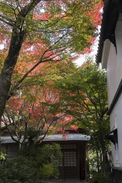 Jardín Zen en el templo de Kodai en Kyoto —  Fotos de Stock