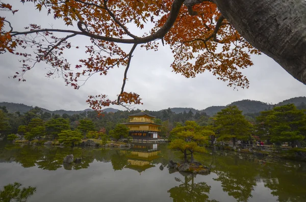 Pohled na Kinkakuji, chrám buddhistického chrámu Zlatého pavilonu — Stock fotografie