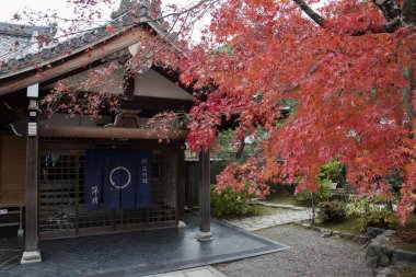 Arashiyama, Kyoto, Ja 'daki Tenryuji tapınağında güzel bir zen bahçesi.