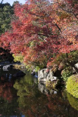 Koko-en bahçesi, H 'deki küçük göletin yanında sonbahar yeşillikleri var.