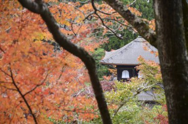 Ginkaku-ji Gümüş Köşkü 'nde güzel sonbahar renkleri