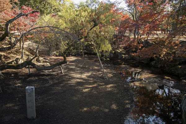 Yoshikigawa Fluss im nara Park — Stockfoto