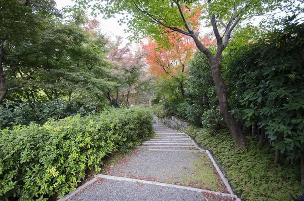 Zen garden at Kodai temple in Kyoto — Stock Photo, Image