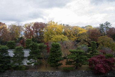 Japonya, Kyoto 'da renkli sonbahar rengine sahip Nijo Kalesi