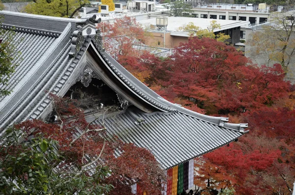 京都Eikando Zenrinji花园五彩缤纷的落叶, — 图库照片