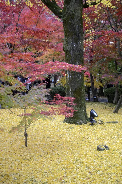 Folhas coloridas de cor de outono em jardins Eikando Zenrinji em Kyoto , — Fotografia de Stock