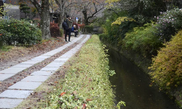 Kolorowe jesienne liście na ścieżce filozoficznej w Kioto, Japonia. — Zdjęcie stockowe