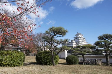 Hyogo Prefectu 'da sonbahar mevsiminde güzel beyaz Himeji Şatosu