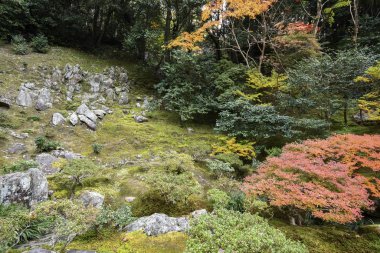 Ginkaku-ji Gümüş Köşkü 'nde güzel sonbahar renkleri