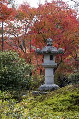 Arashiyama, Kyoto, Ja 'daki Tenryuji tapınağında güzel bir zen bahçesi.