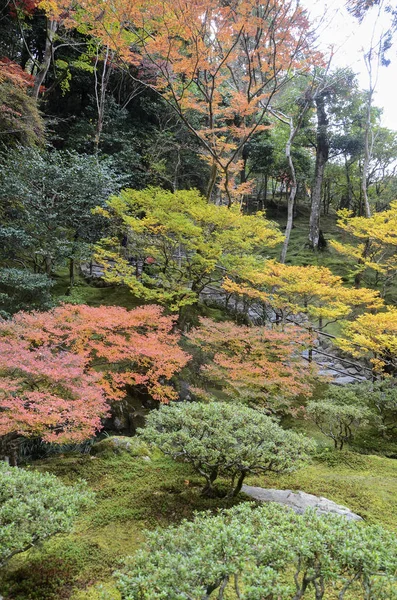 Hermosos colores de otoño en Ginkaku-ji Pabellón de plata durante el a —  Fotos de Stock