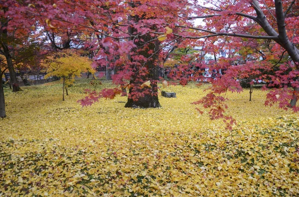 Folhas coloridas de cor de outono em jardins Eikando Zenrinji em Kyoto , — Fotografia de Stock