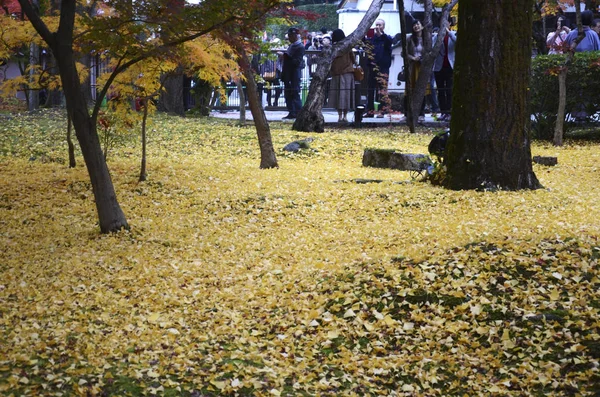 Folhas coloridas de cor de outono em jardins Eikando Zenrinji em Kyoto , — Fotografia de Stock