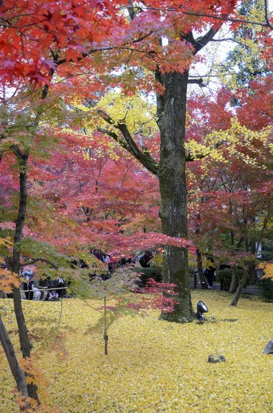 Cores do outono em Eikando Temple Kyoto, Japão — Fotografia de Stock