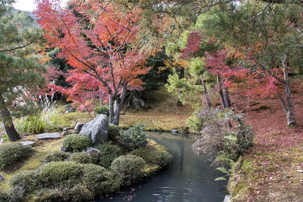 Όμορφος κήπος zen στο ναό Tenryuji στο Arashiyama, Κιότο, Ja — Φωτογραφία Αρχείου