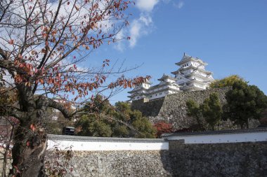 Hyogo Prefectu 'da sonbahar mevsiminde güzel beyaz Himeji Şatosu