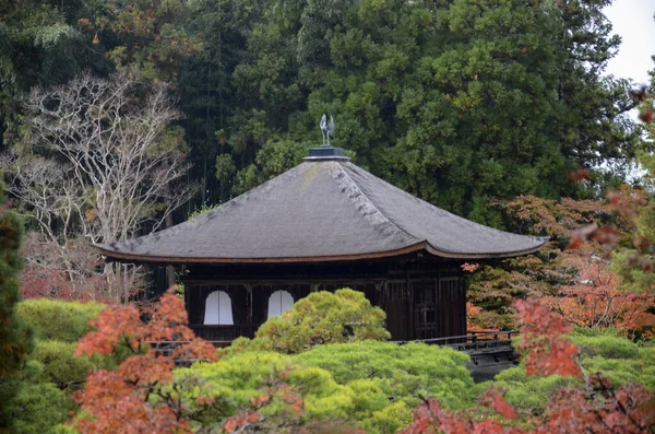 Όμορφα χρώματα πτώση σε Ginkaku-ji Silver Pavilion κατά τη διάρκεια της α — Φωτογραφία Αρχείου