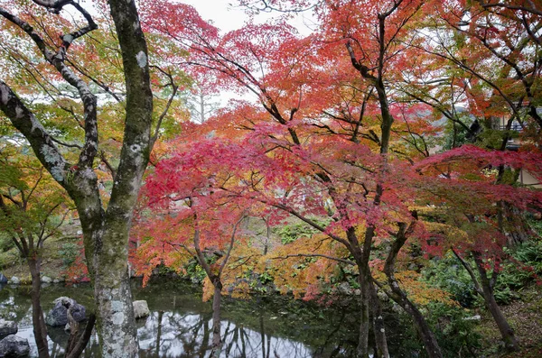 Jardín Zen en el templo de Kodai en Kyoto —  Fotos de Stock