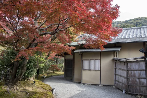 Zenová zahrada v chrámu Kodai v Kjótu — Stock fotografie