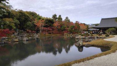 Arashiyama, Kyoto 'daki Tenryuji tapınağında güzel bir zen bahçesi.