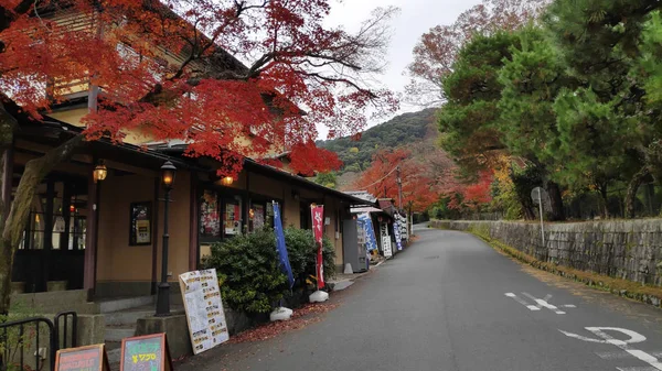 Vue sur la rue à côté du parc Maruyama à Kyoto — Photo