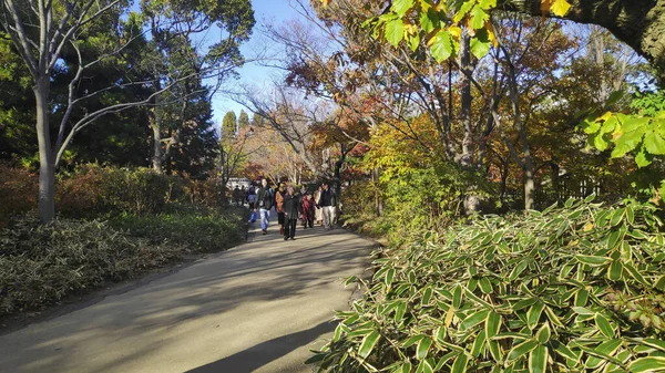 Kokoen garten bei himeji von japan — Stockfoto