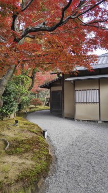 Kyoto Japonya 'daki Kodaiji tapınağı bahçeleri