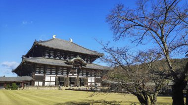 İnsanlar Japonya, Nara 'daki Todaiji Tapınağını ziyaret ediyor.