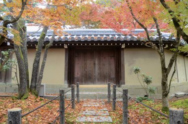 Kyoto 'daki Eikando Zenrinji bahçelerinde renkli sonbahar yaprakları,