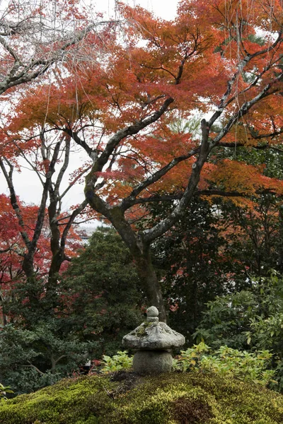 Hermoso jardín zen en el templo Tenryuji en Arashiyama, Kyoto, Ja —  Fotos de Stock