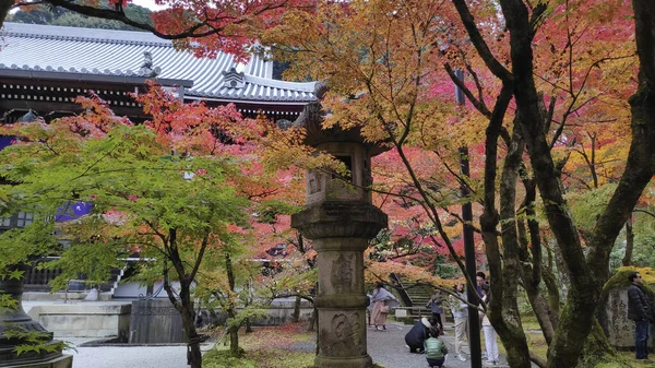 Alberi da giardino autunnali nel padiglione d'oro Tempio Kinkakuji a Kyoto — Foto Stock