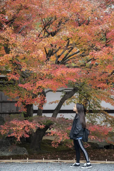 Visitante desfruta de outono em jardins Tenryuji em Arashiyama, Kyoto — Fotografia de Stock