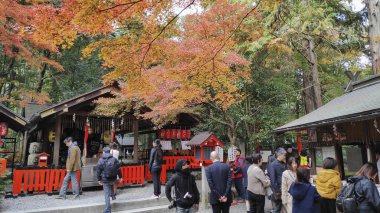 Turistler Kyoto 'daki Nonomiya-jinja' yı ziyaret ettiler
