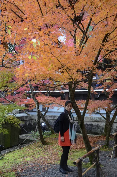 Cores do outono em Eikando Temple Kyoto, Japão — Fotografia de Stock