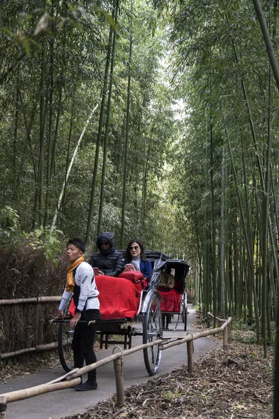 Tahal Rickshawa na koni turisty koryto bambusové lesní cesty v A — Stock fotografie
