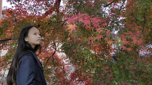 Bezoeker geniet van de herfst in Tenryuji tempel in Arashiyama, Kyoto — Stockfoto