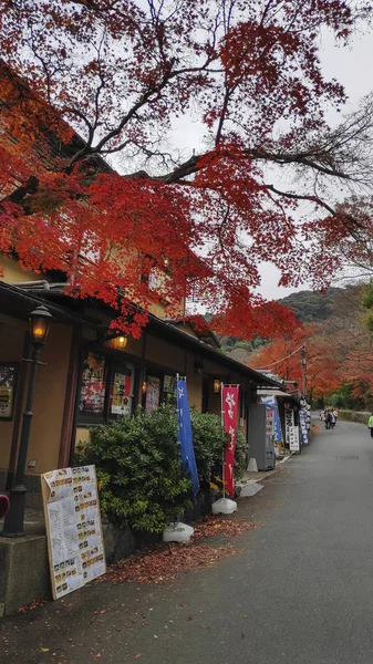 京都の円山公園の隣の通りの眺め — ストック写真