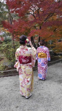 Ziyaretçiler, Kyoto 'nun Arashiyama kentindeki Tenryuji bahçelerinde sonbaharın keyfini çıkarıyorlar