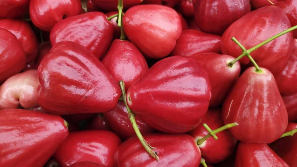 Fresh wax apple fruit — Stock Photo, Image