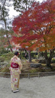 Ziyaretçiler, Kyoto 'nun Arashiyama kentindeki Tenryuji bahçelerinde sonbaharın keyfini çıkarıyorlar